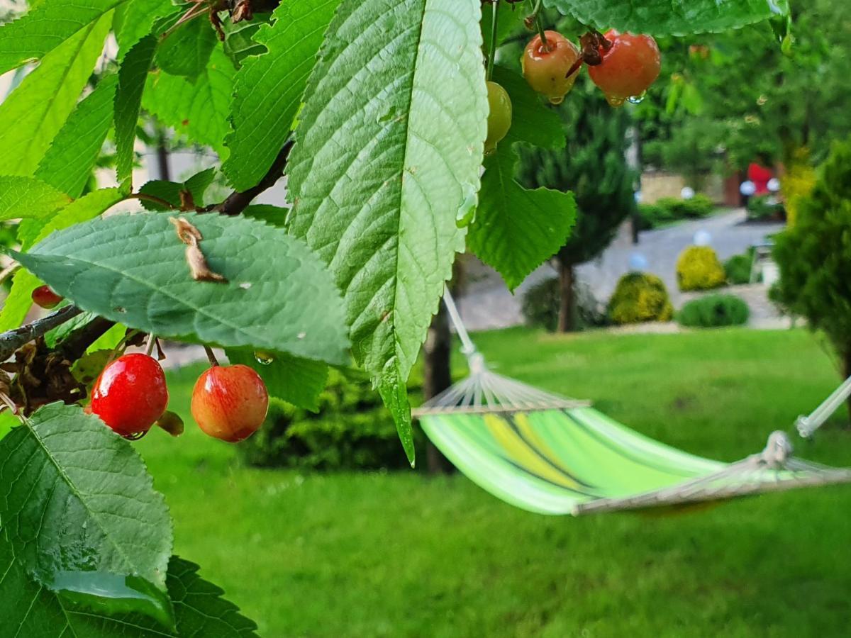 Villa Zenko Brjuhovicsi Kültér fotó