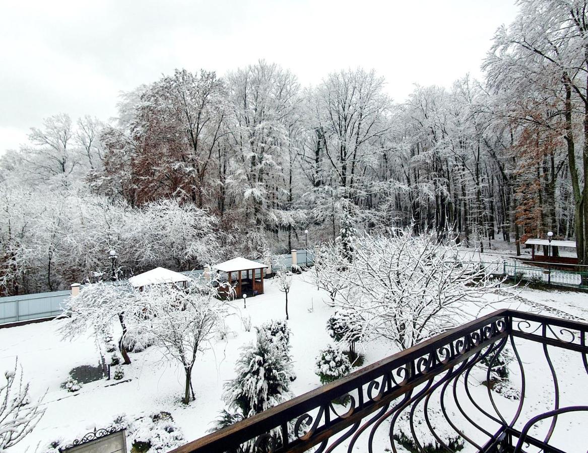 Villa Zenko Brjuhovicsi Kültér fotó